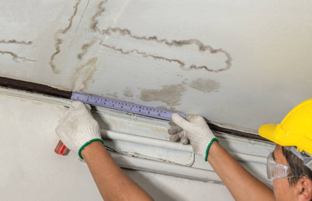Reliable Water Damage contractor in De Soto, MO by Water Damage Irwin